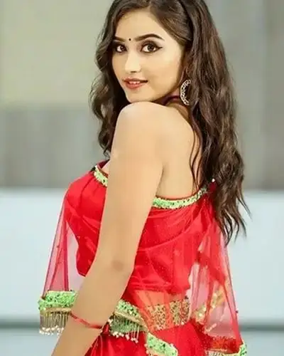 Call Girls Service Hunsur